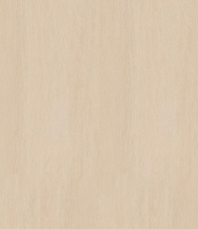 Dilatatieprofiel zelfklevend 38mm decor 259 Vanille