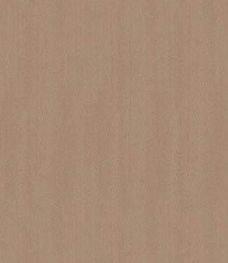 Dilatatieprofiel zelfklevend decor 262 Cappuccino