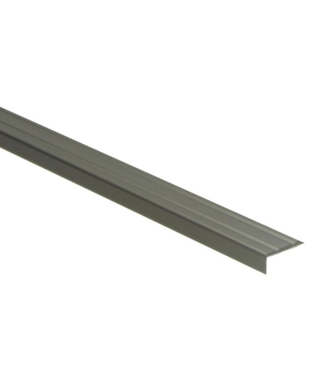 Hoeklijnprofiel zelfklevend RVS 10x24,5mm  2259
