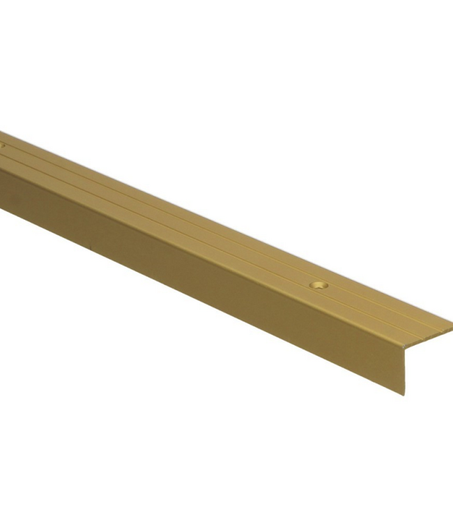 Hoeklijnprofiel schroef 20 mm goud