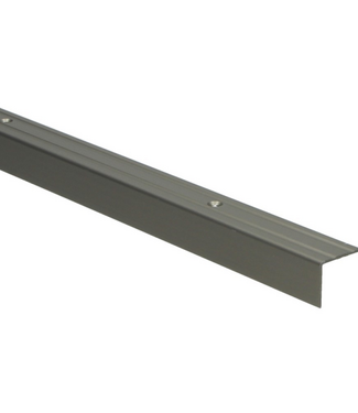 Hoeklijnprofiel schroef 20 mm RVS