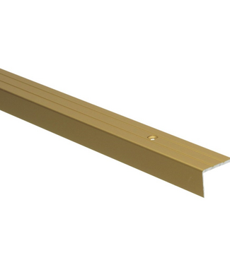 Hoeklijnprofiel schroef 17 mm goud