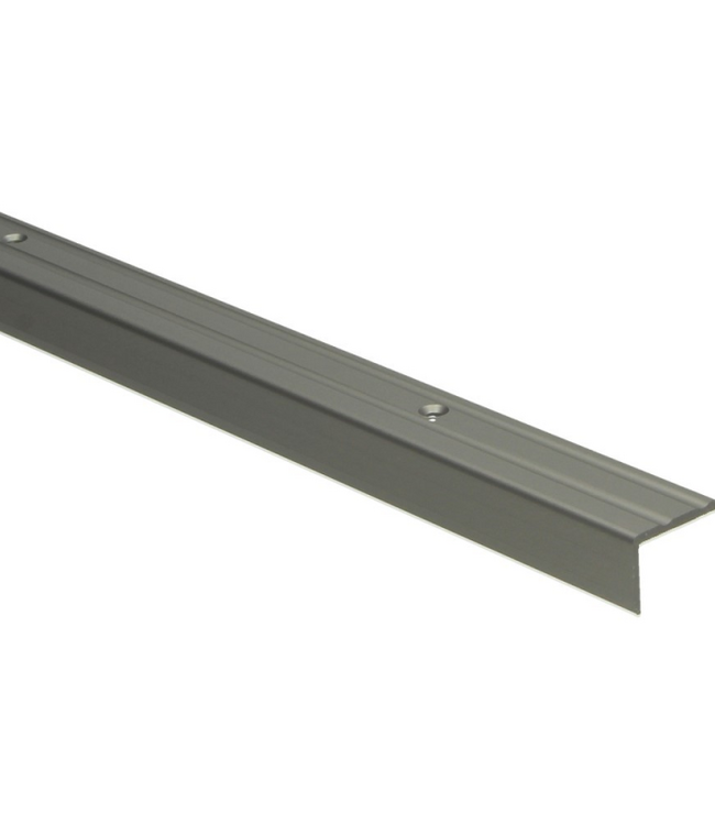 Hoeklijnprofiel schroef 17 mm RVS