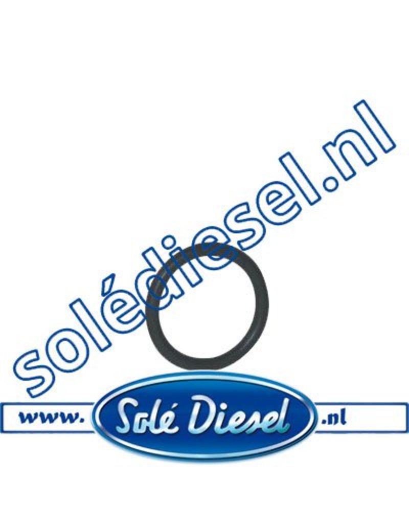 12111006 | Solédiesel |Teilenummer | Lower Cylinder O-ring