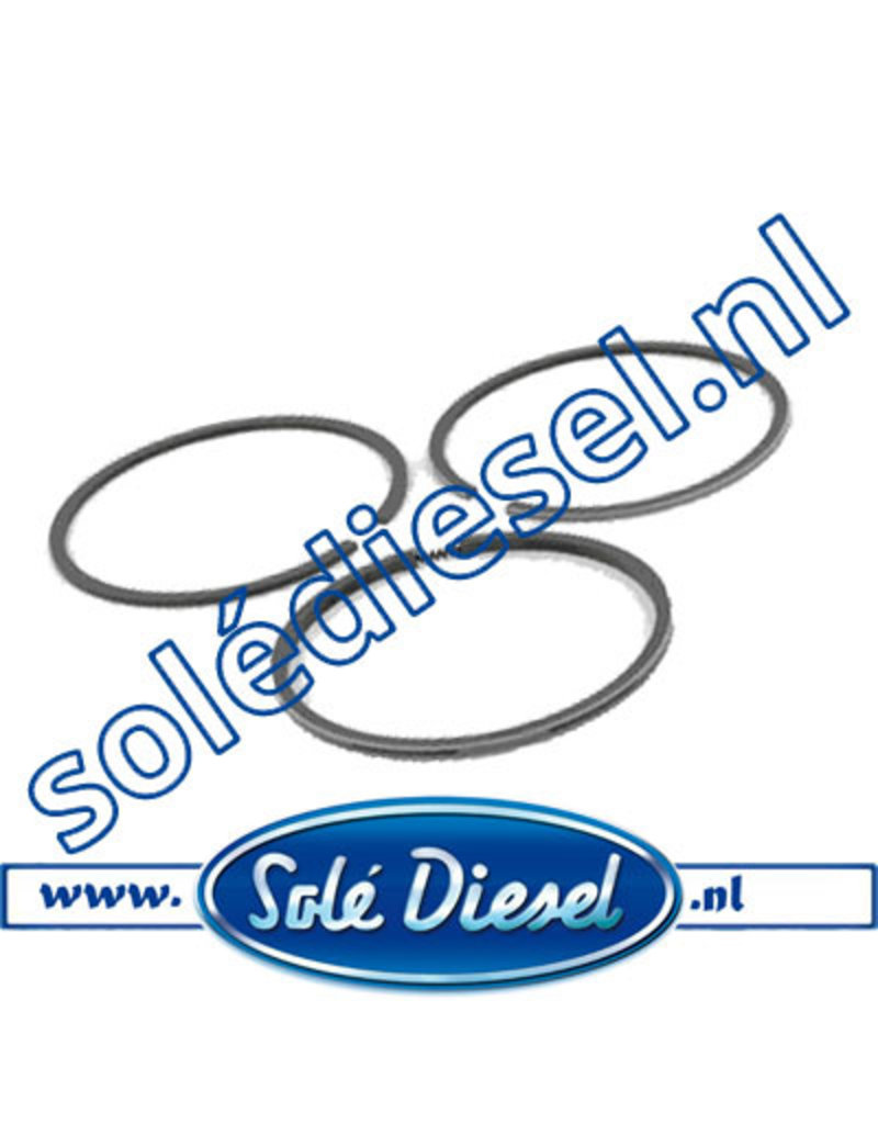 12222023| Solédiesel | parts number | Piston Ring Set Std