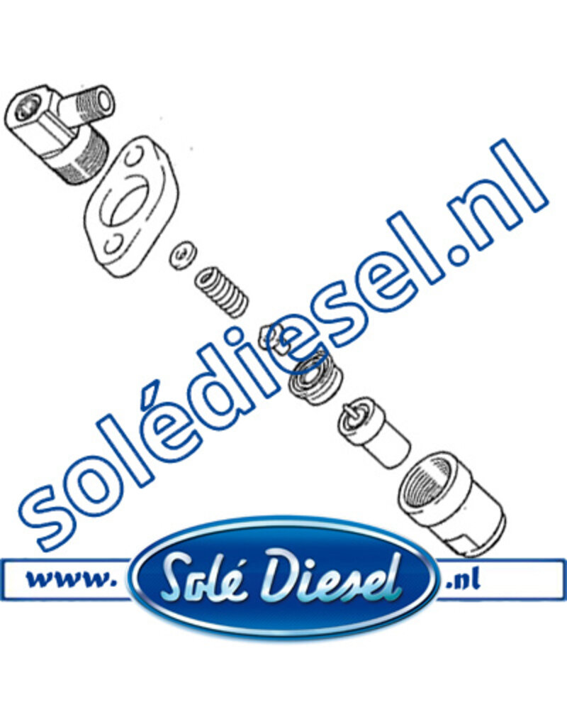 13126001 | Solédiesel onderdeel |  Nozzle & Holder