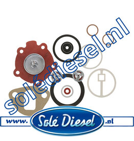 Reparatie set vervangende opvoerpomp ver13814005