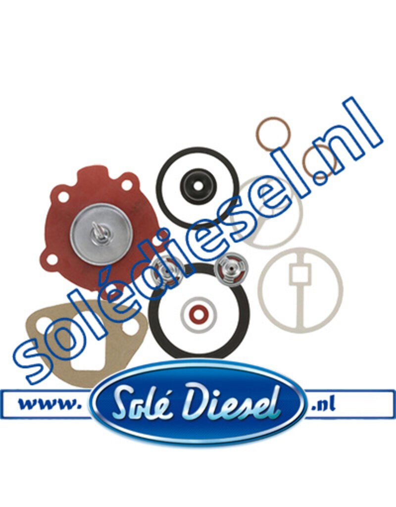 Reparatursatz  Ersatz Kraftstoffpumpe ver13814005