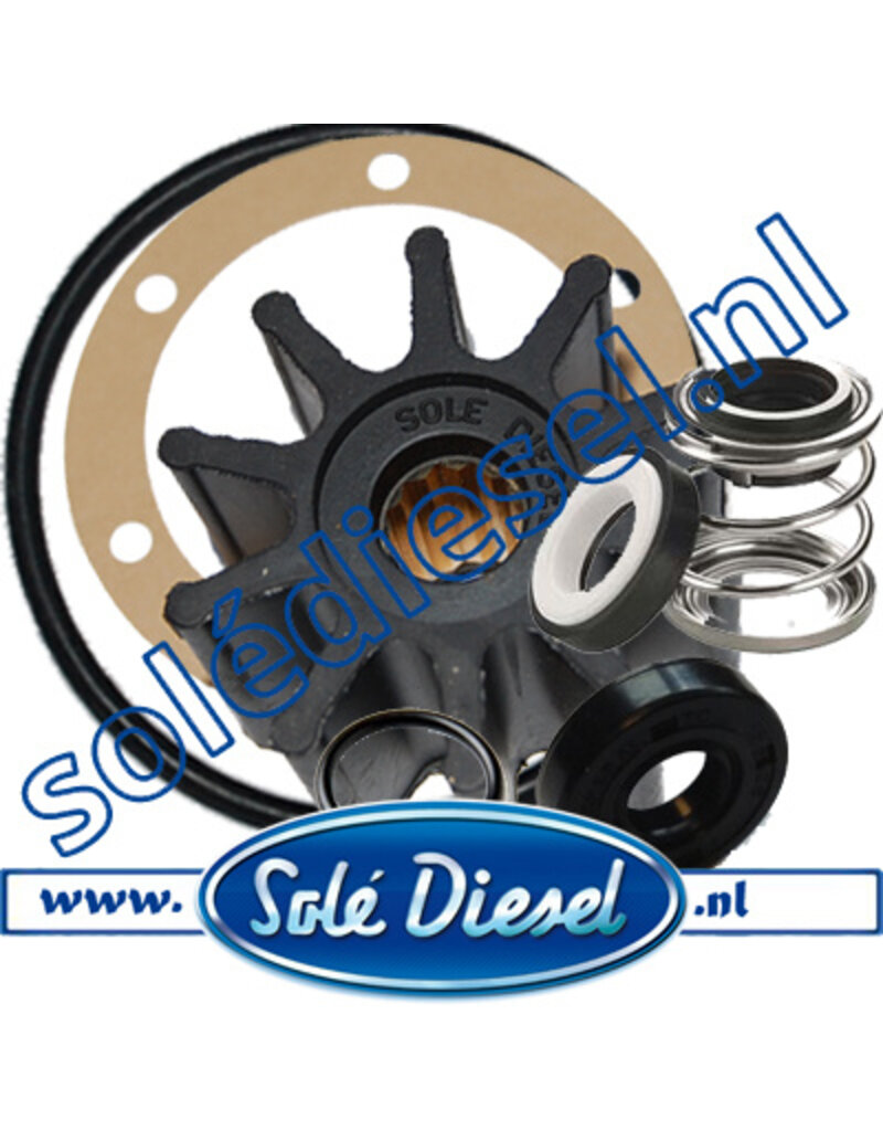 Basis Service Kit Impellerpomp 39011000