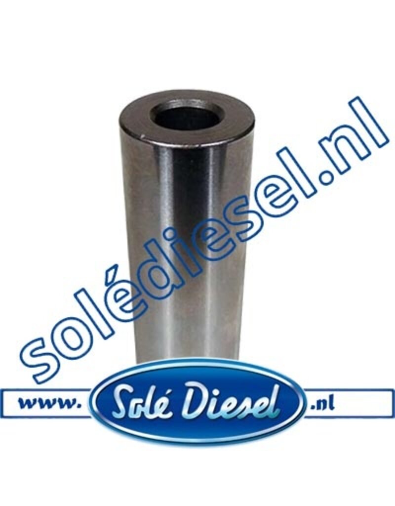 17222009 | Solédiesel |Teilenummer | Pin