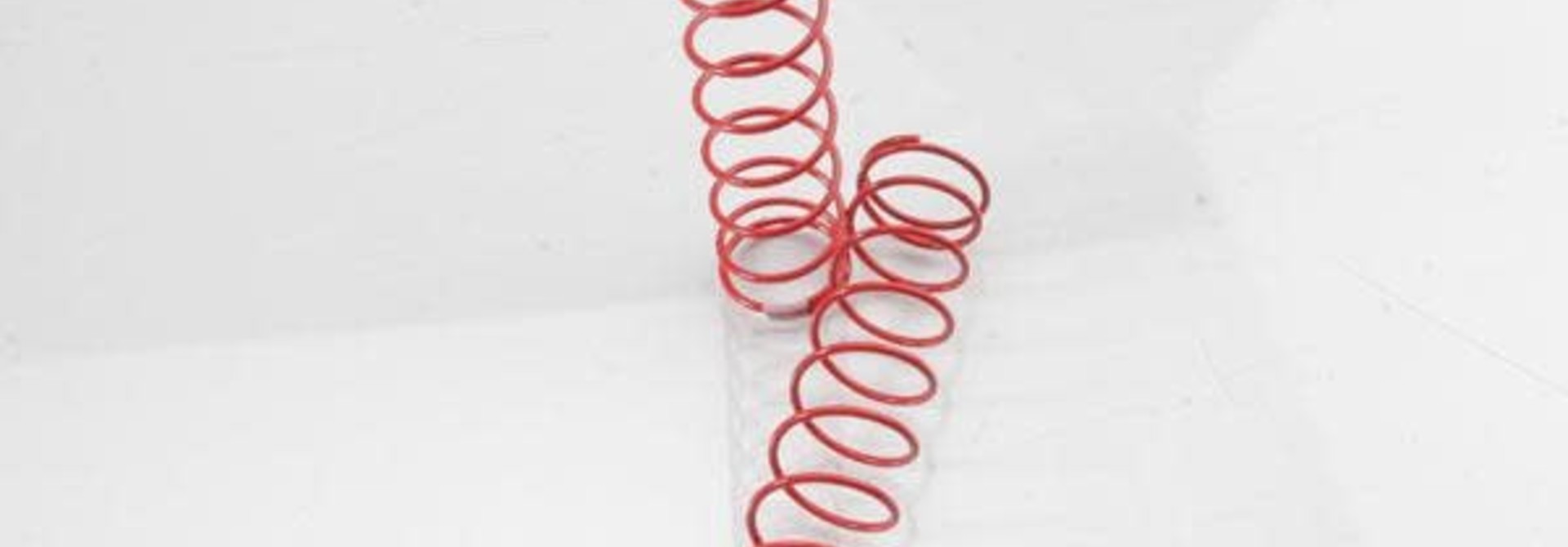 Springs, rear (red) (2.9 rate) (2)