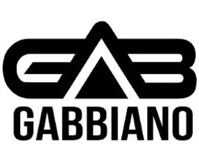 Gabbiano