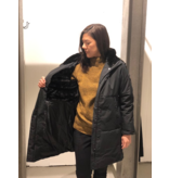 Cars Jeans Vine Poly