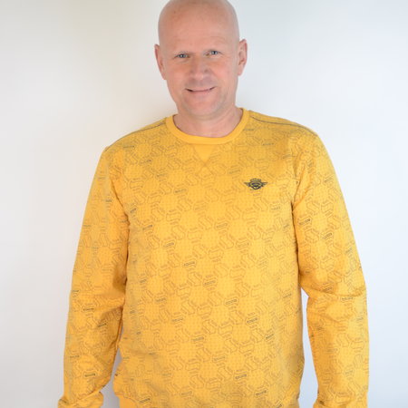 Gabbiano Sweater Yellow 77106