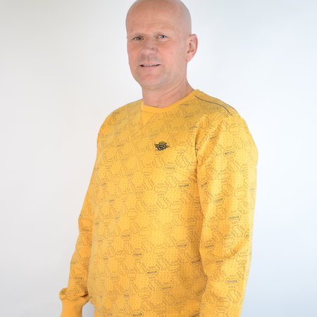 Gabbiano Sweater Yellow 77106