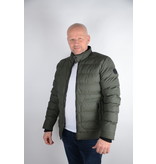 Cars Jeans Corfresh Green