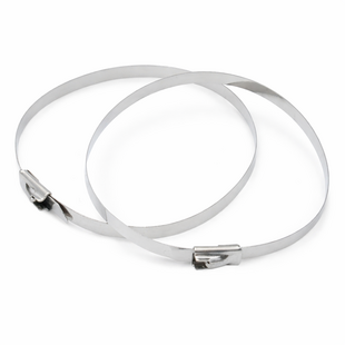 10x Stainless Steel Locking Tie | SS304 | 300mm x 4.6mm