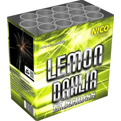 Nico Europe Lemon Dahlia 