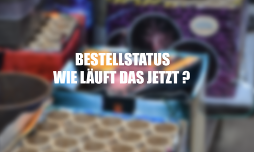 Was bedeutet mein Bestellstatus und wie läuft es jetzt ab? 