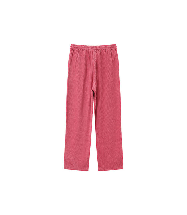 GRACE&MILA - Paul broek rose