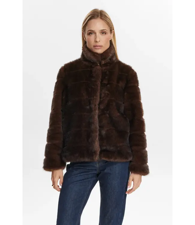 NÜMPH - Nuwiondall jack