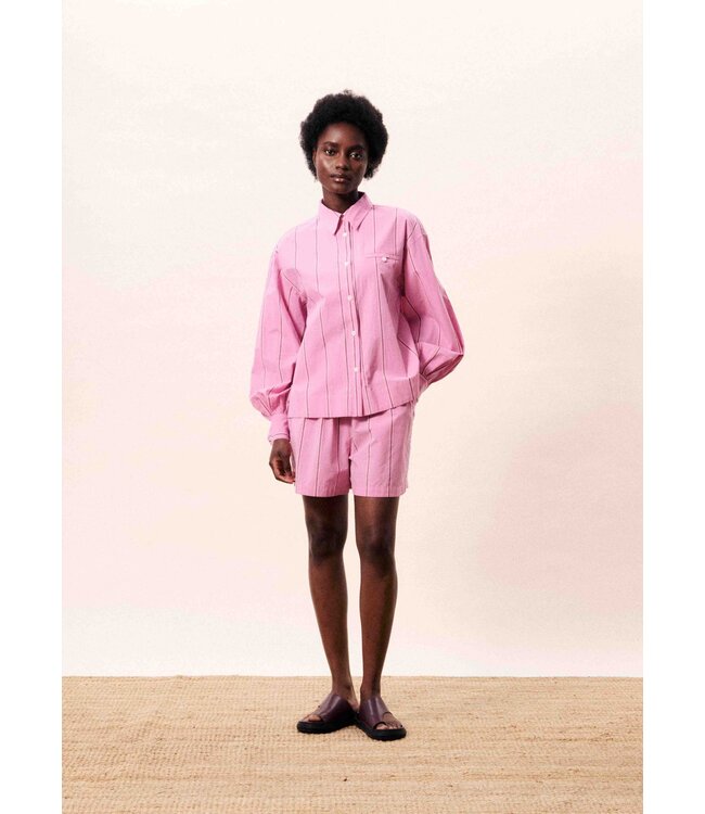 FRNCH - Eurybia short