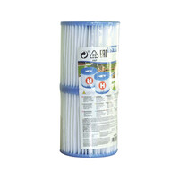 Intex filter cartridge type H - duopack