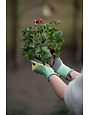 Clip Glove Duurzame Tuinhandschoen Clip Glove Plus Groen/Geel