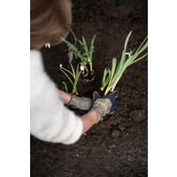 Duurzame Tuinhandschoen Clip Glove Plus Bruin