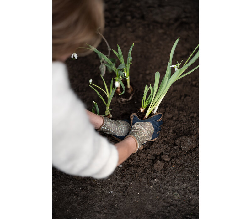 Duurzame Tuinhandschoen Clip Glove Plus Bruin Heren