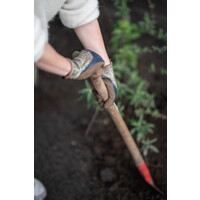 Duurzame Tuinhandschoen Clip Glove Plus Bruin