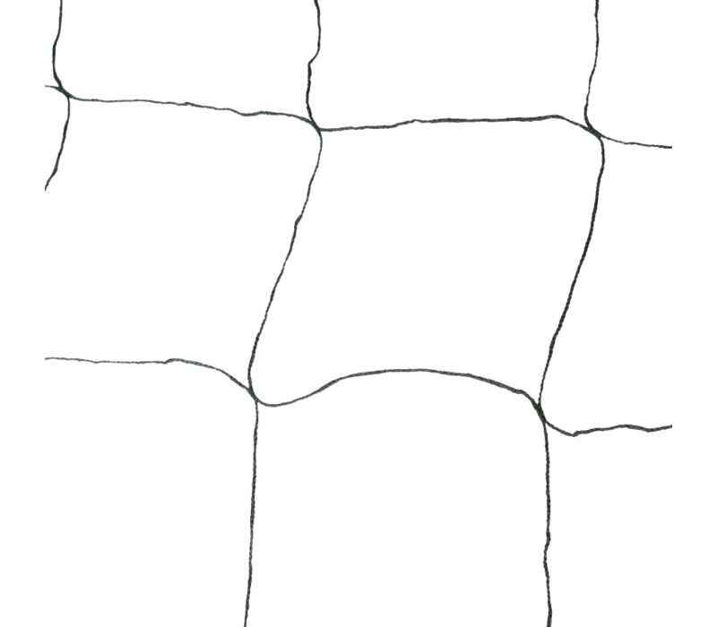 Nylon Net voor ondersteuning planten - 1.5m x 2.5m