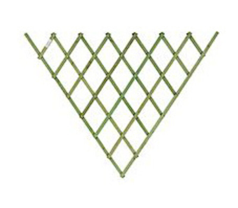 Fan Trellis 0.7 x 1.4 m - Lavender/Blue/Green