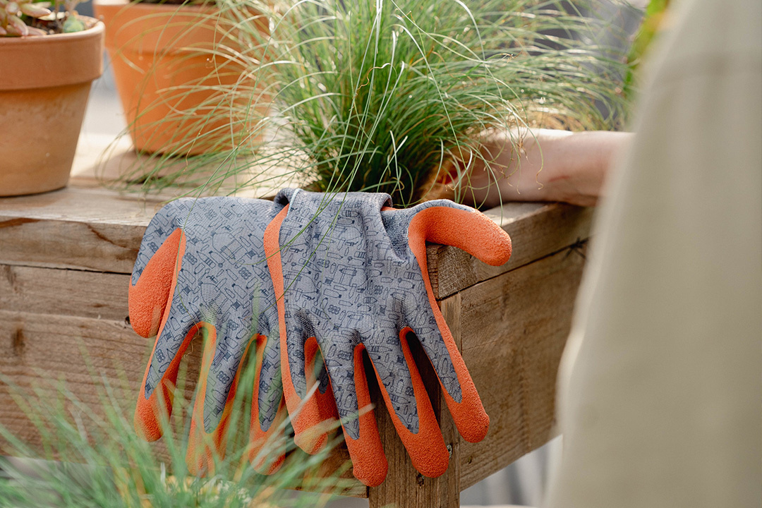 Tuinieren in de hitte: tips om je tuin te onderhouden in de warmte