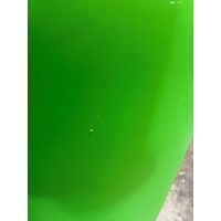 Regenton kiwi - Tweede kansje