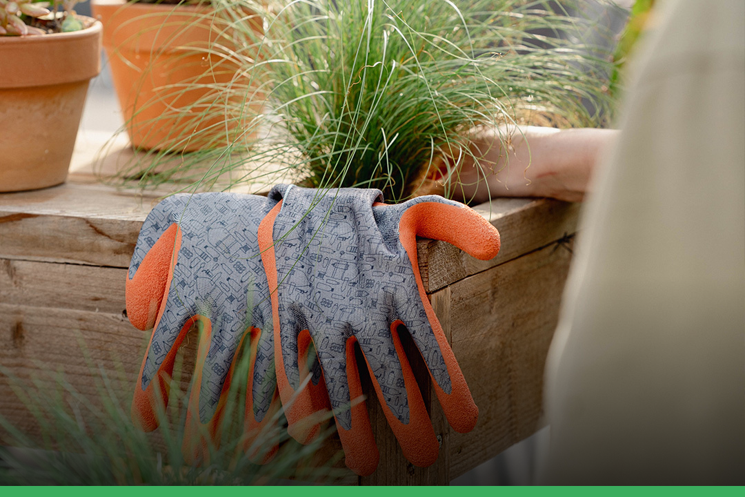 Tuinieren in de hitte: tips om je tuin te onderhouden in de warmte