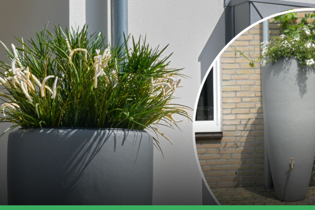 Vang water op in een regenton!