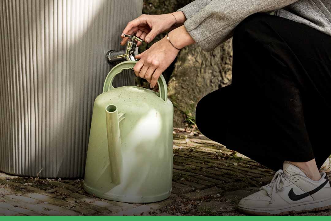 Waarom is regenwater zo belangrijk?
