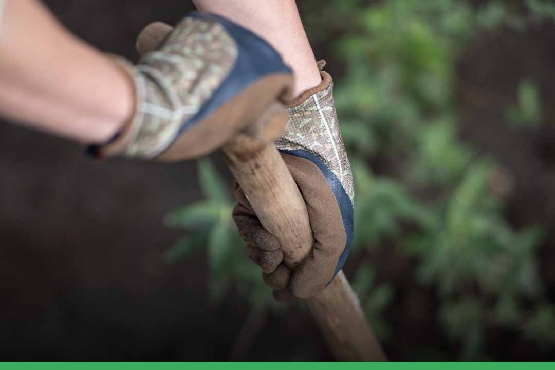 Maak je tuin herfstklaar