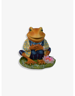 Peter Rabbit Outdoor Tuinornament Jeremy Fisher