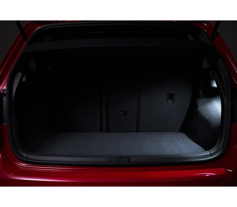 LED Interieur Verlichting T10 | Festoon 31 mm 36mm 39mm 41mm