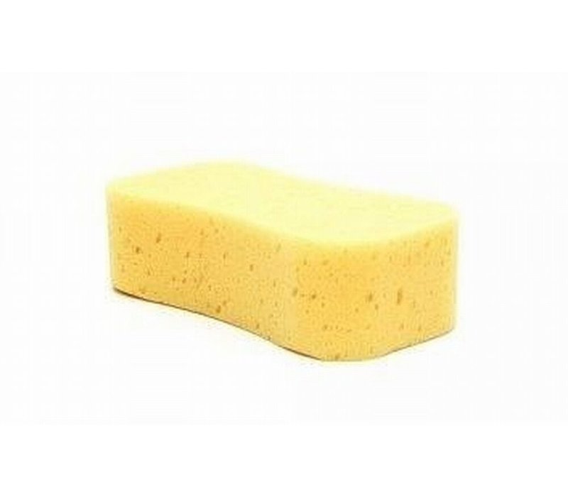 Jumbo Sponge