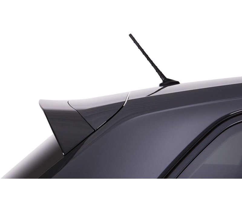 Sport Roof Spoiler for Volkswagen Polo 2G