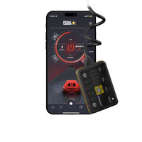 Pedal Commander für Cupra