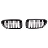 OEM Line ® Sport Front Grill voor BMW 5 Serie G30 / G31