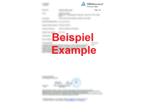 OEM Line ® Dejavu Cars Gutachten ABE RS7 Look Frontstoßstange