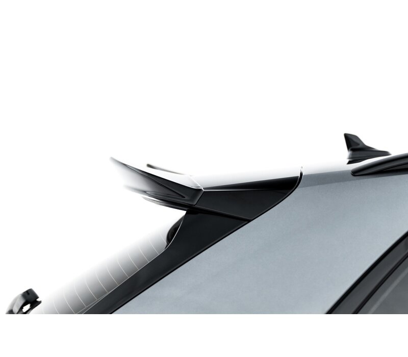 Dakspoiler Extension 3D voor Audi RSQ3 F3 SUV