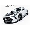 Maxton Design Carbon Body Kit für Mercedes Benz AMG GT 63 / 55 / 63 S E Performance C192