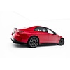 Side Skirts Diffuser for Mercedes Benz E53 AMG  Sedan / Estate