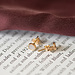 Isabel Bernard Belleville Luna 14 karat gold oorstekers with freshwater pearl